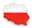 Investment Poland Services